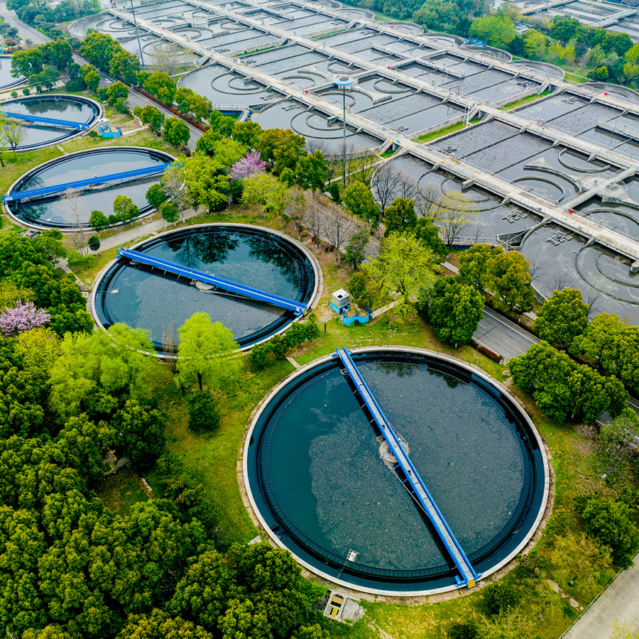STP Plant