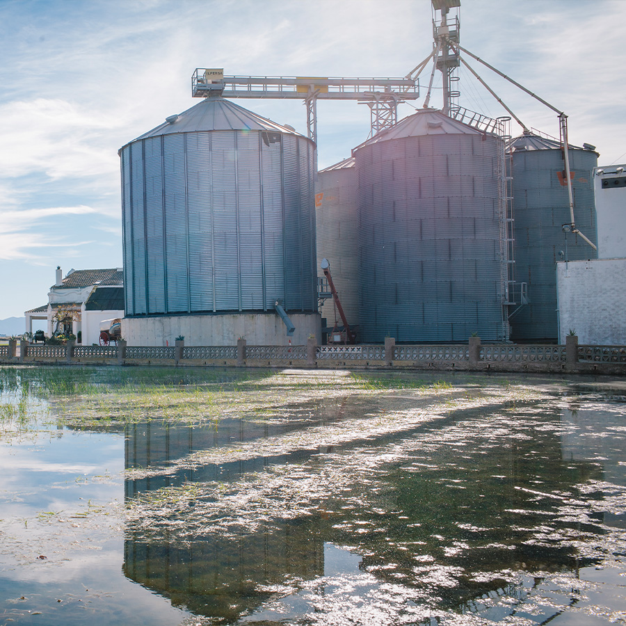 Sewage Water Treatment Plant
